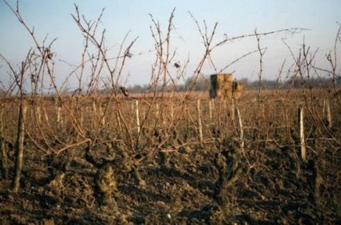 Domaine de L'R gallery image 2