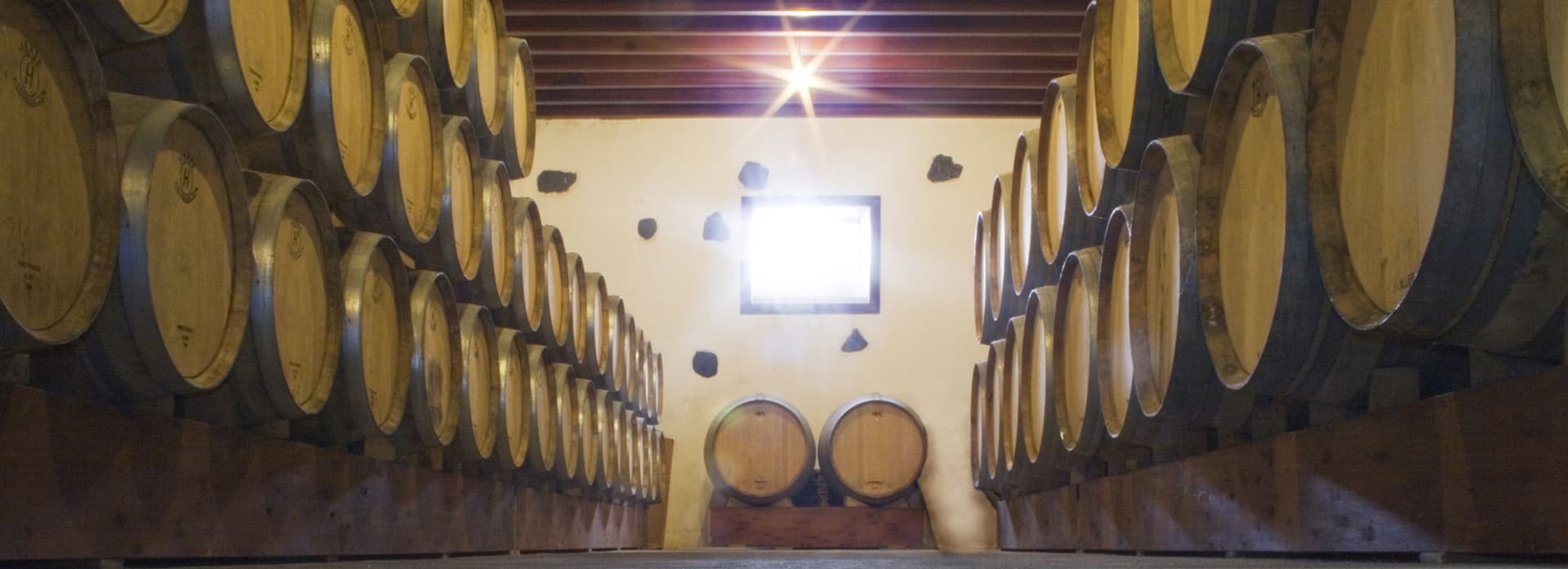 Bodega Los Bermejos gallery image 7