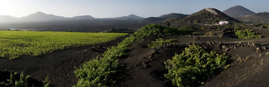 Bodega Los Bermejos gallery image 16