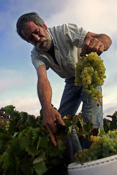 Bodega Los Bermejos gallery image 28