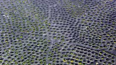 Bodega Los Bermejos gallery image 21