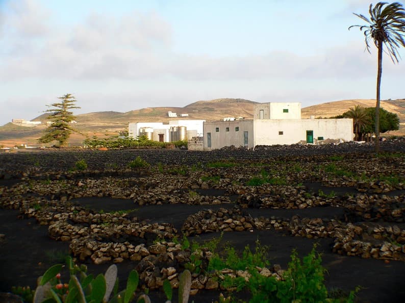 Bodega Los Bermejos gallery image 6