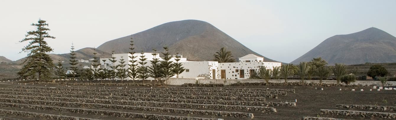 Bodega Los Bermejos gallery image 4