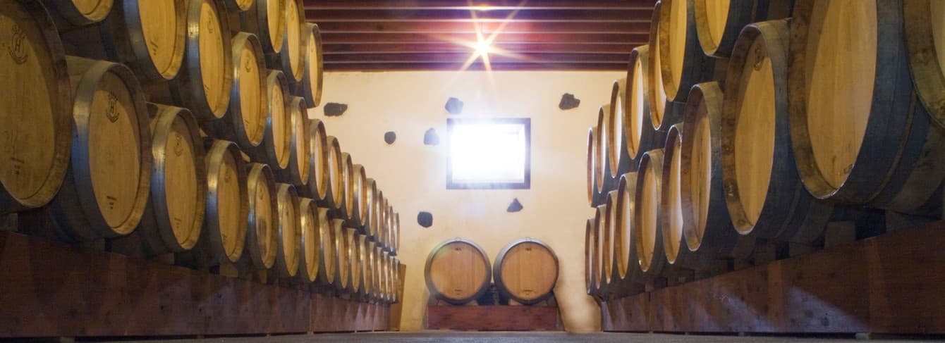 Bodega Los Bermejos gallery image 40