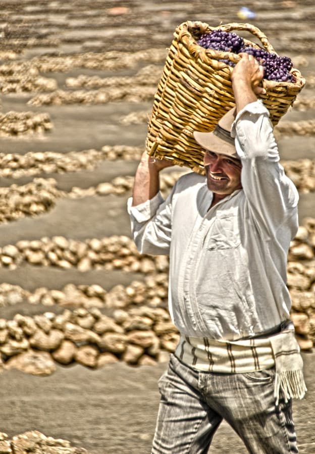Bodega Los Bermejos gallery image 23