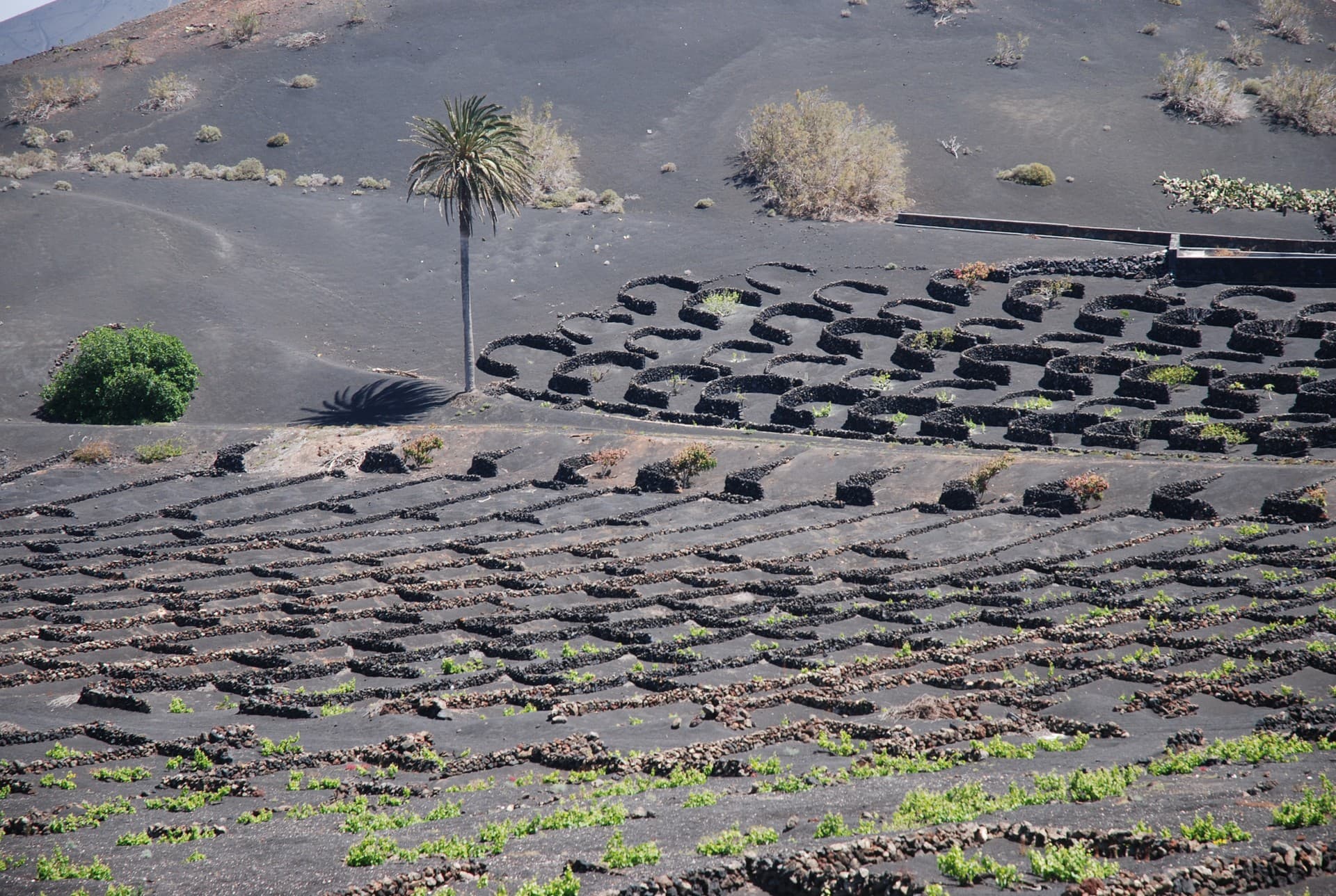 Bodega Los Bermejos gallery image 15