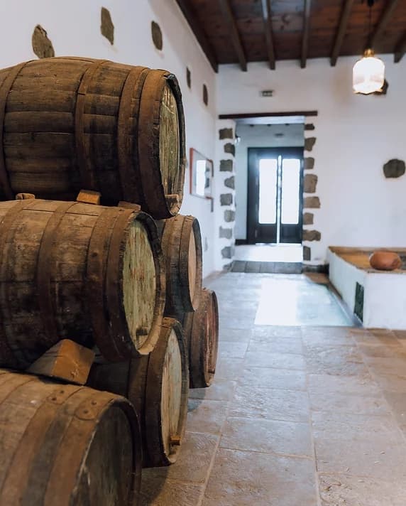 Bodega Los Bermejos gallery image 3