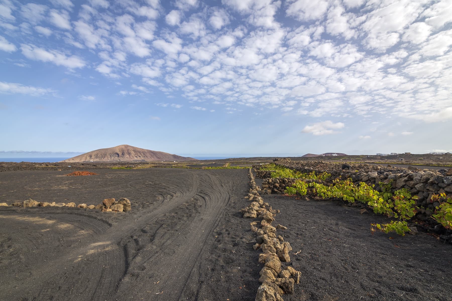 Bodega Los Bermejos gallery image 1