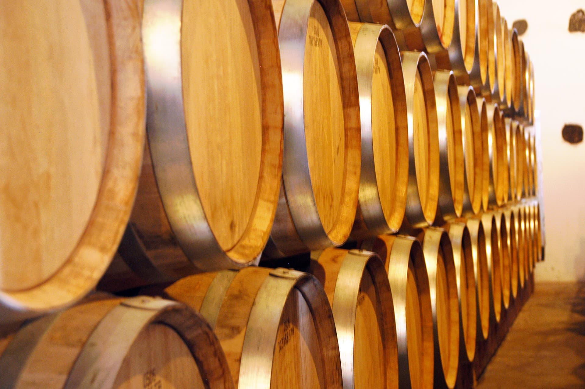 Bodega Los Bermejos gallery image 9