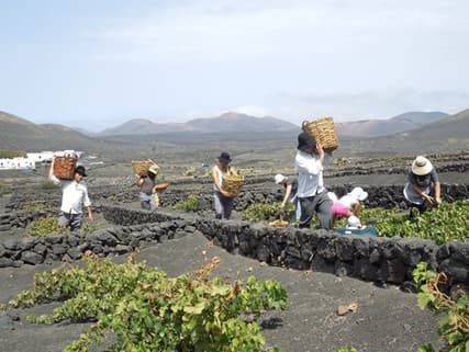Bodega Los Bermejos gallery image 24