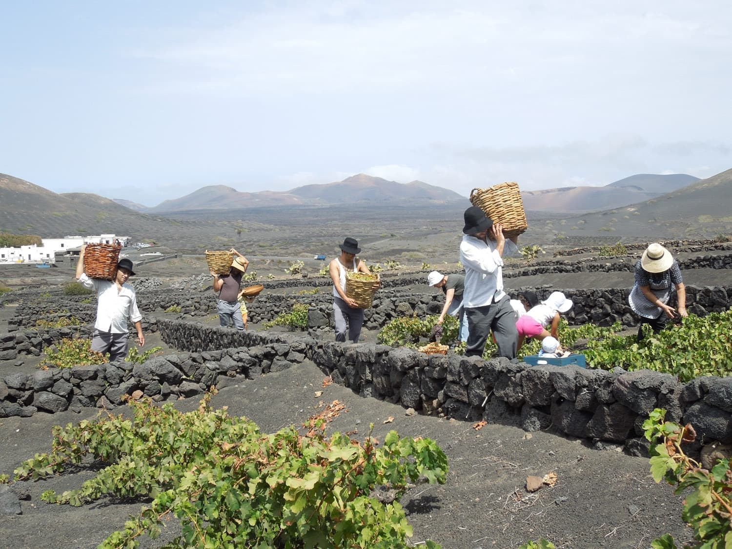 Bodega Los Bermejos gallery image 10