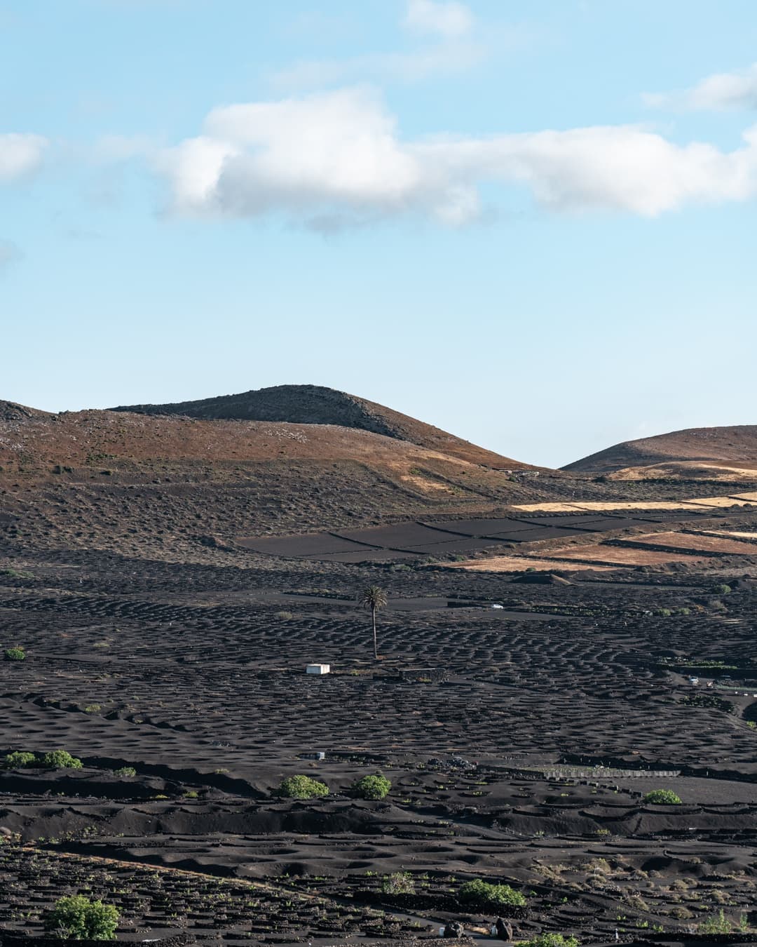 Bodega Los Bermejos gallery image 27