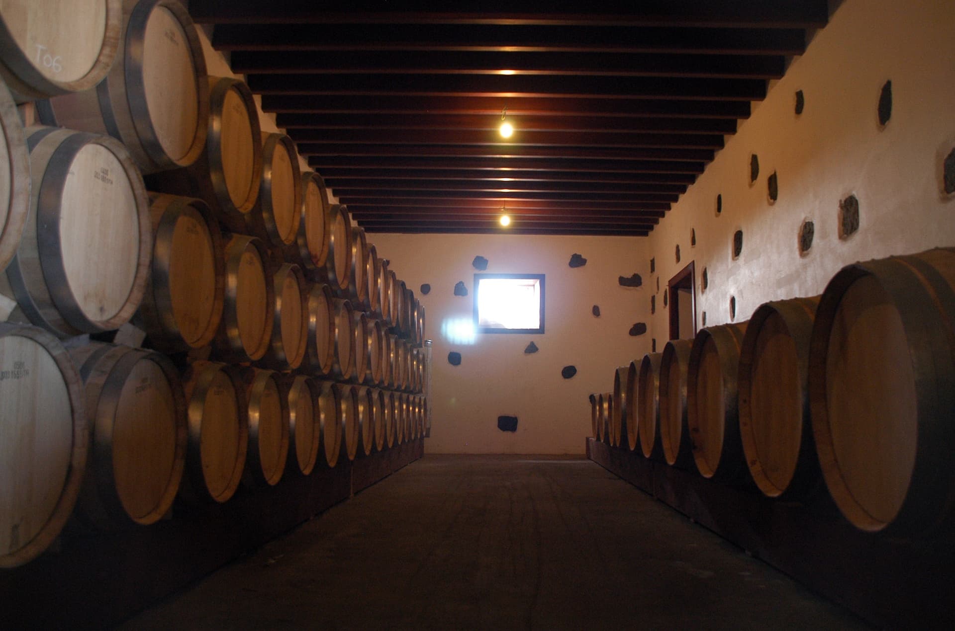 Bodega Los Bermejos gallery image 8