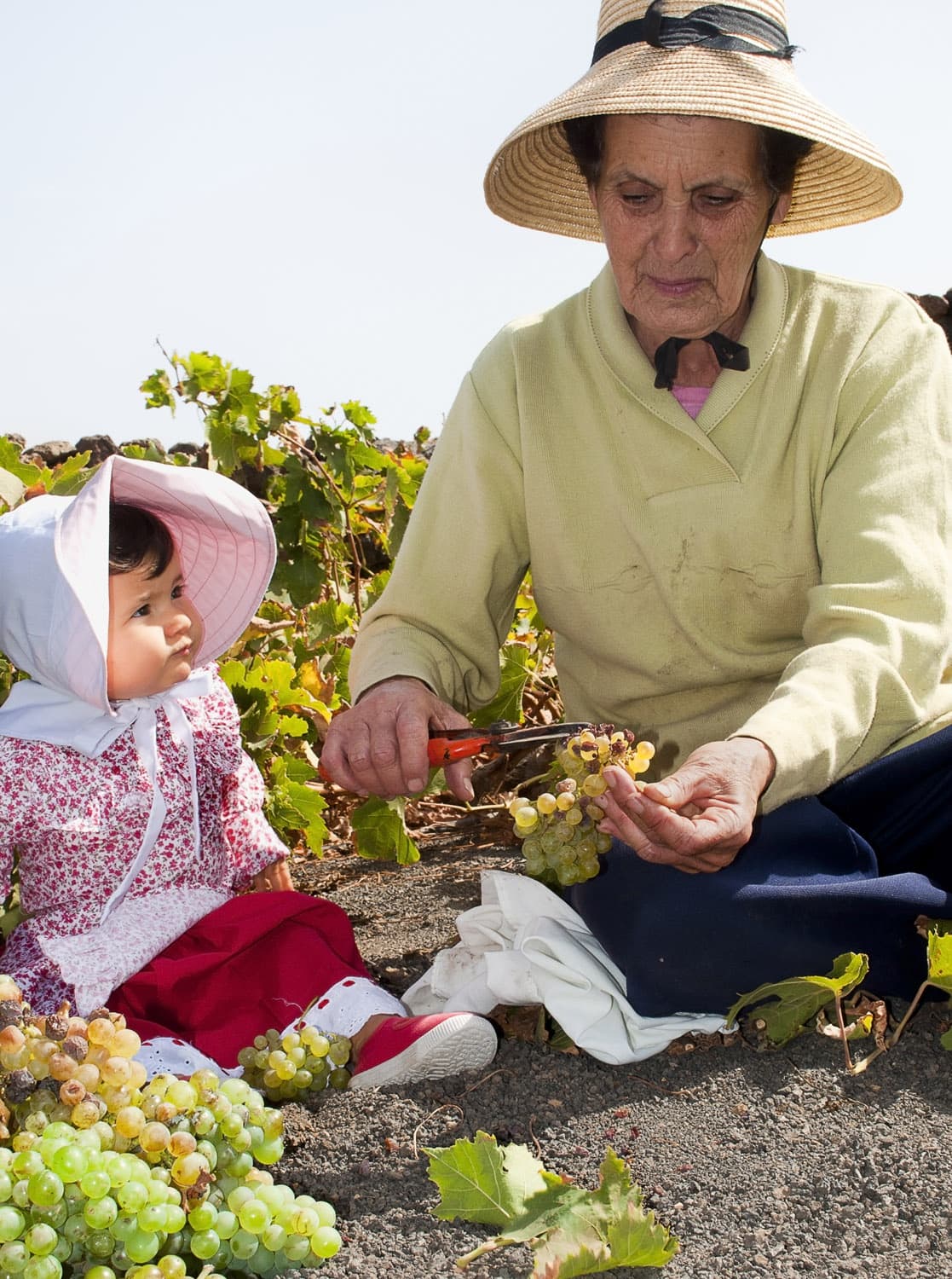 Bodega Los Bermejos gallery image 35