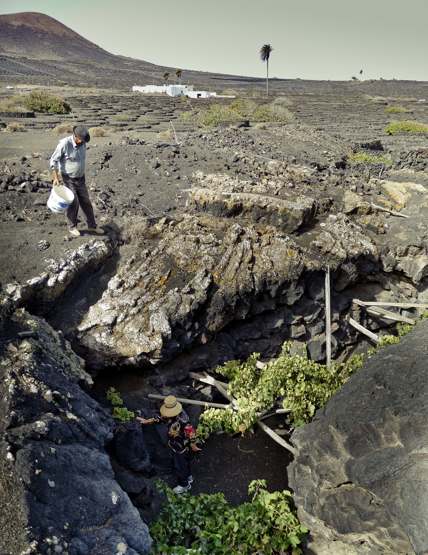 Bodega Los Bermejos gallery image 34
