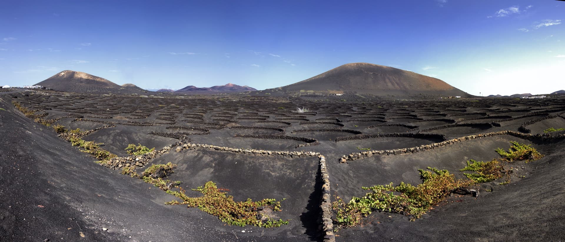Bodega Los Bermejos gallery image 38