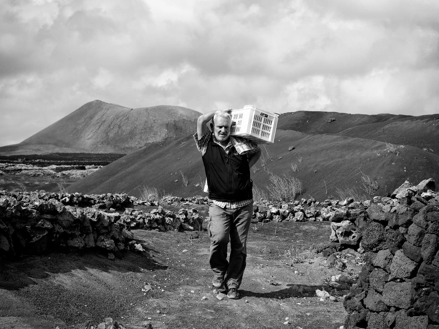 Bodega Los Bermejos gallery image 22