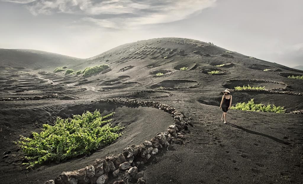 Bodega Los Bermejos gallery image 19