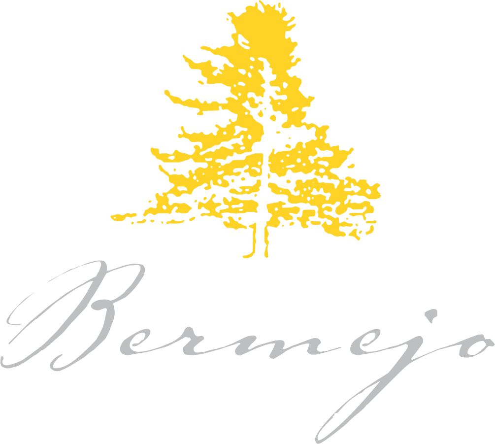 Bodega Los Bermejos logo