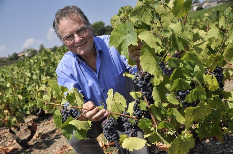 Domaine du Vieux Bourg gallery image 4