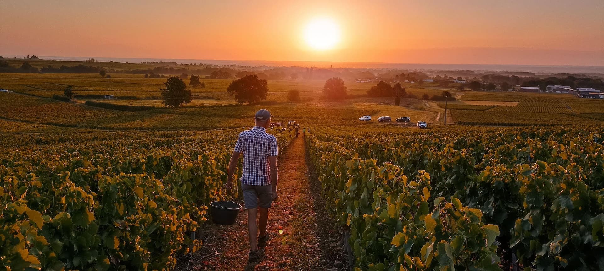 Domaine du Vieux Bourg header