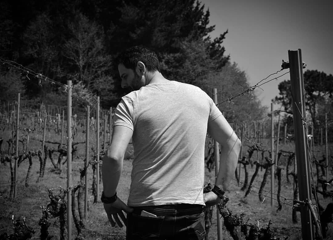 Finca Cuarta gallery image 3