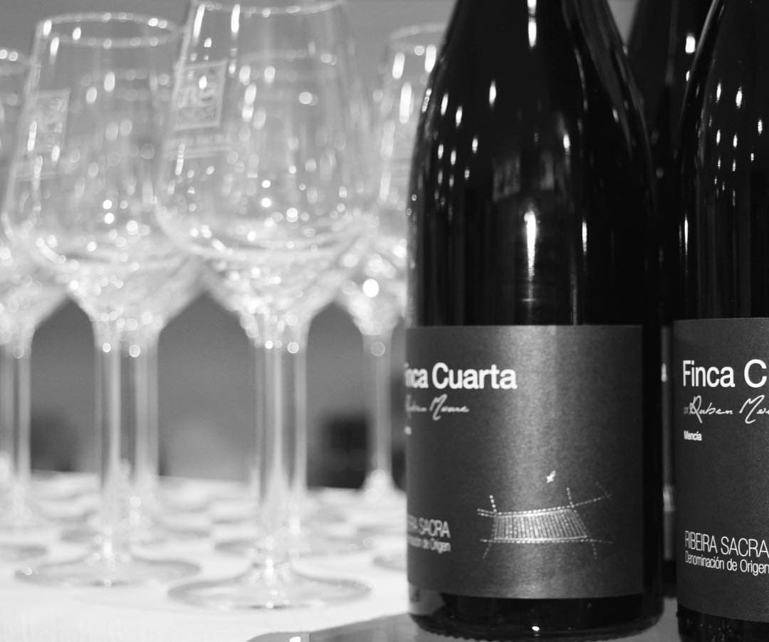 Finca Cuarta gallery image 5