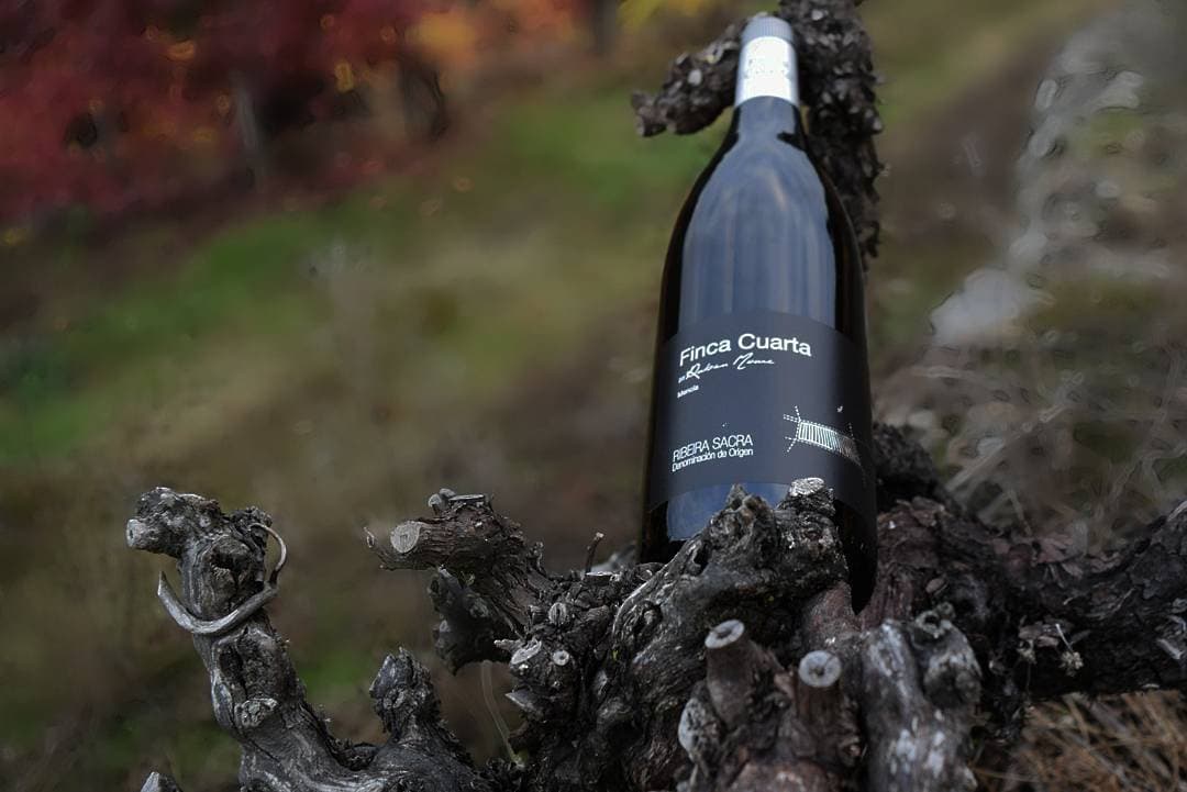 Finca Cuarta gallery image 2