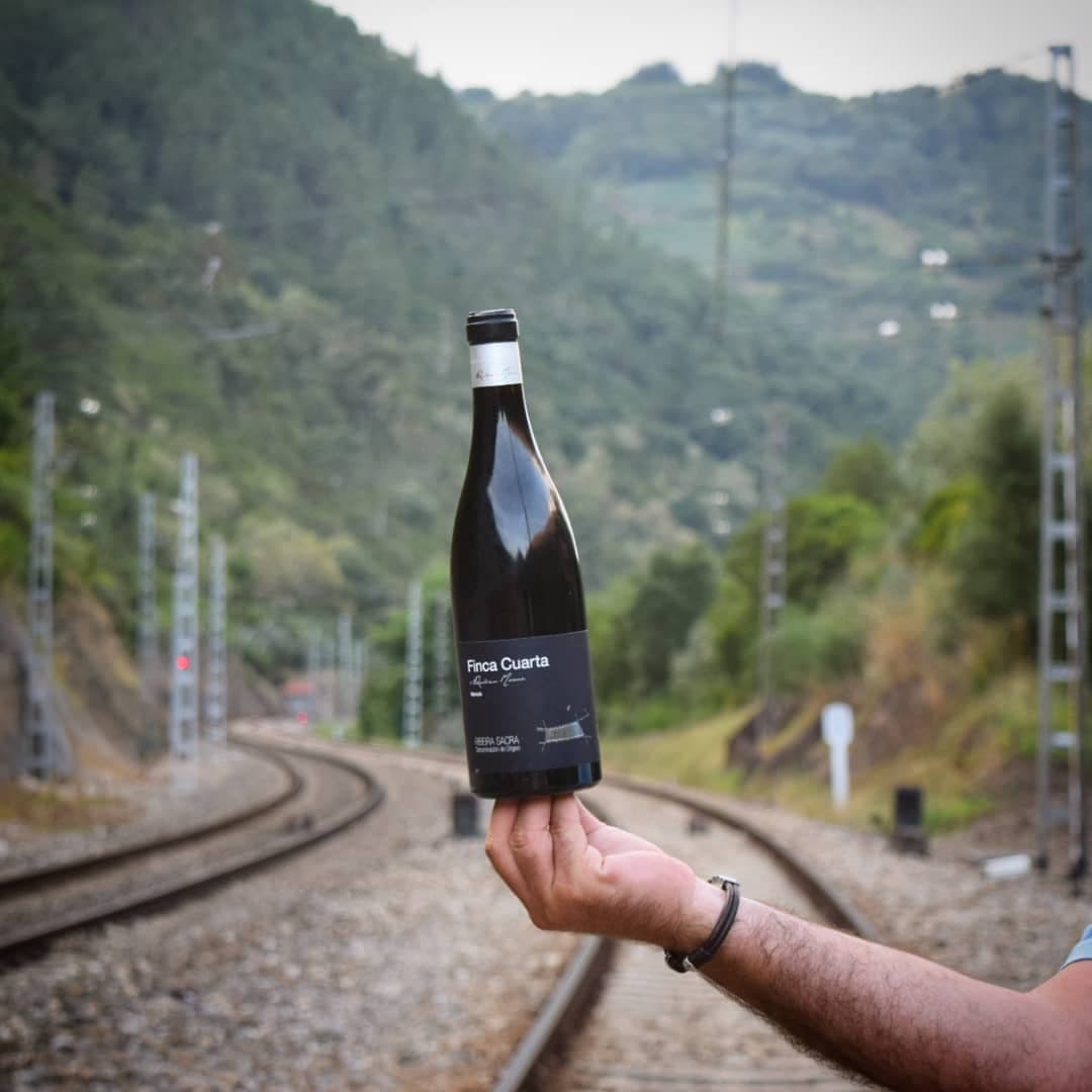 Finca Cuarta gallery image 10