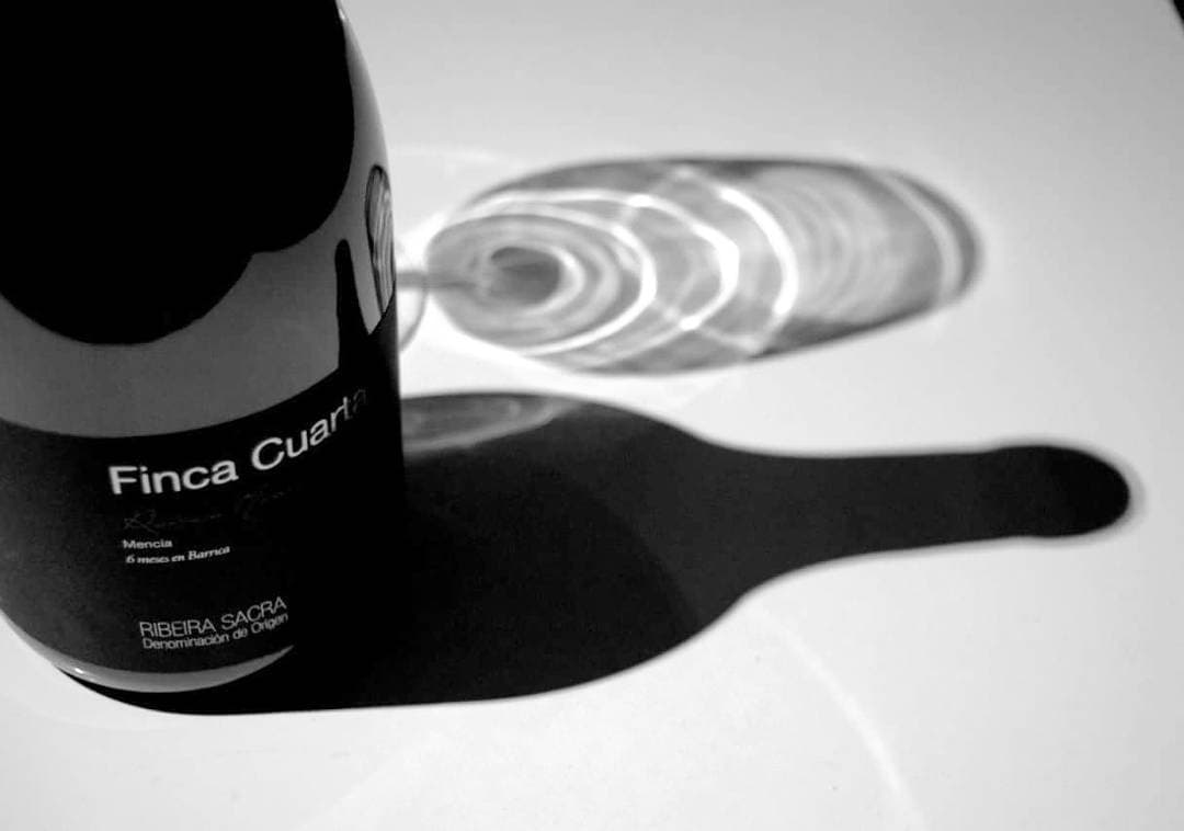 Finca Cuarta gallery image 8