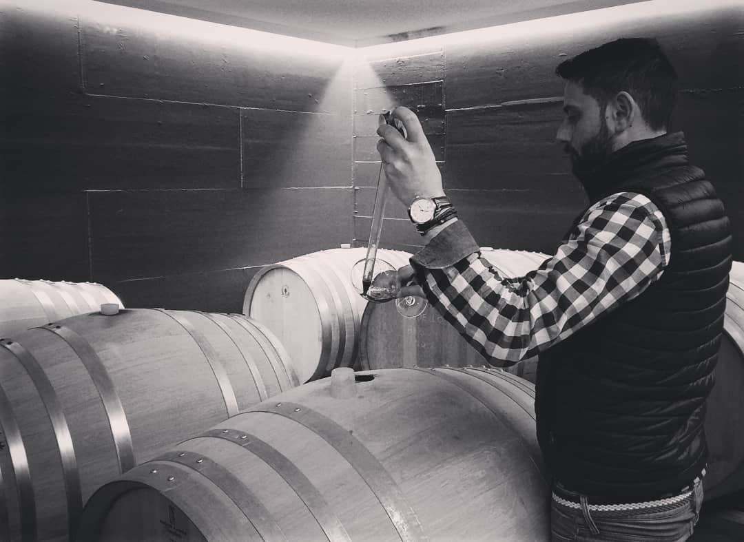 Finca Cuarta gallery image 6