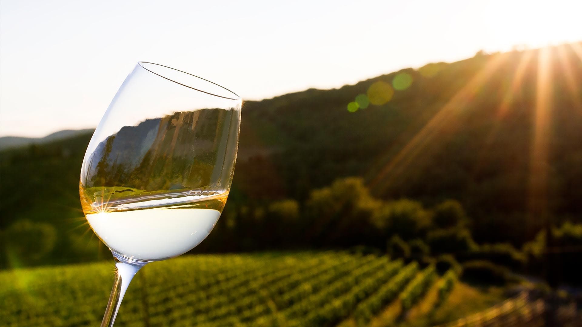 L'Erta di Radda gallery image 4