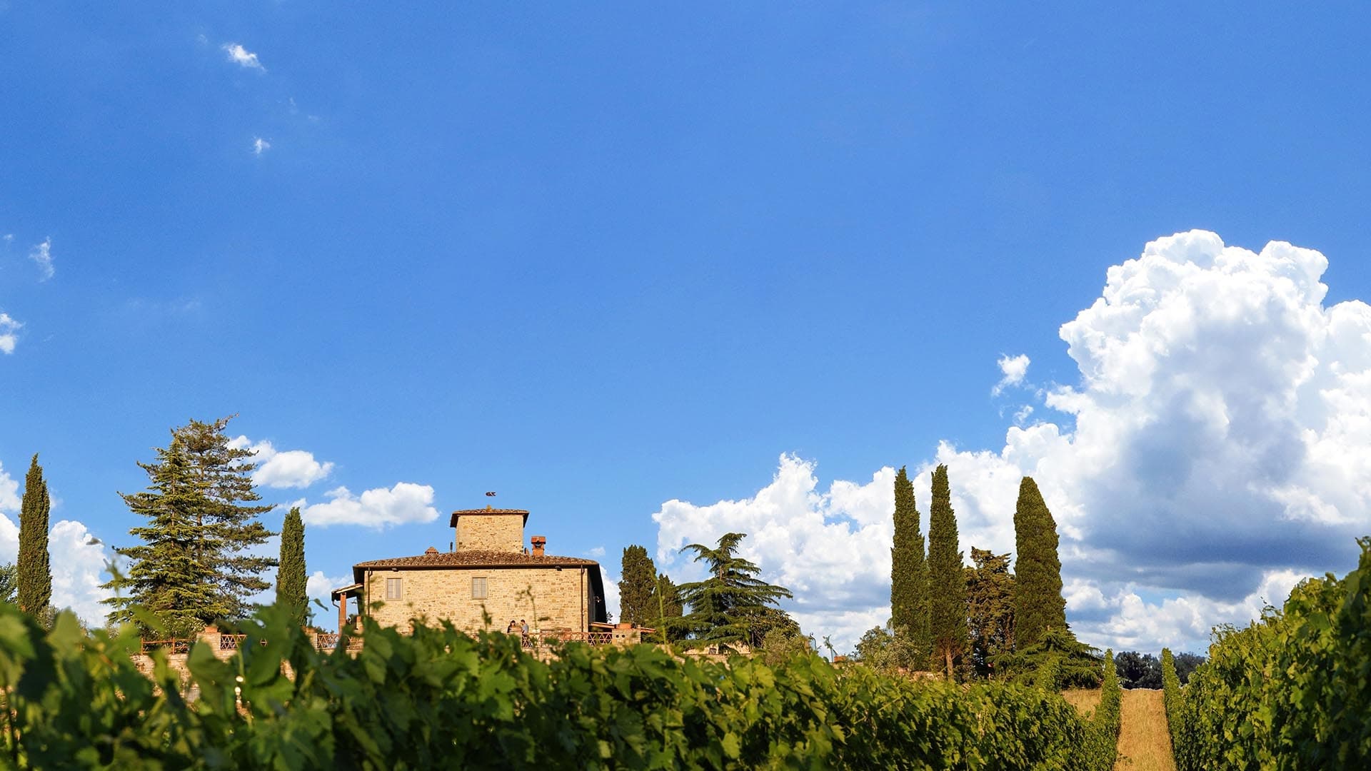 L'Erta di Radda gallery image 1