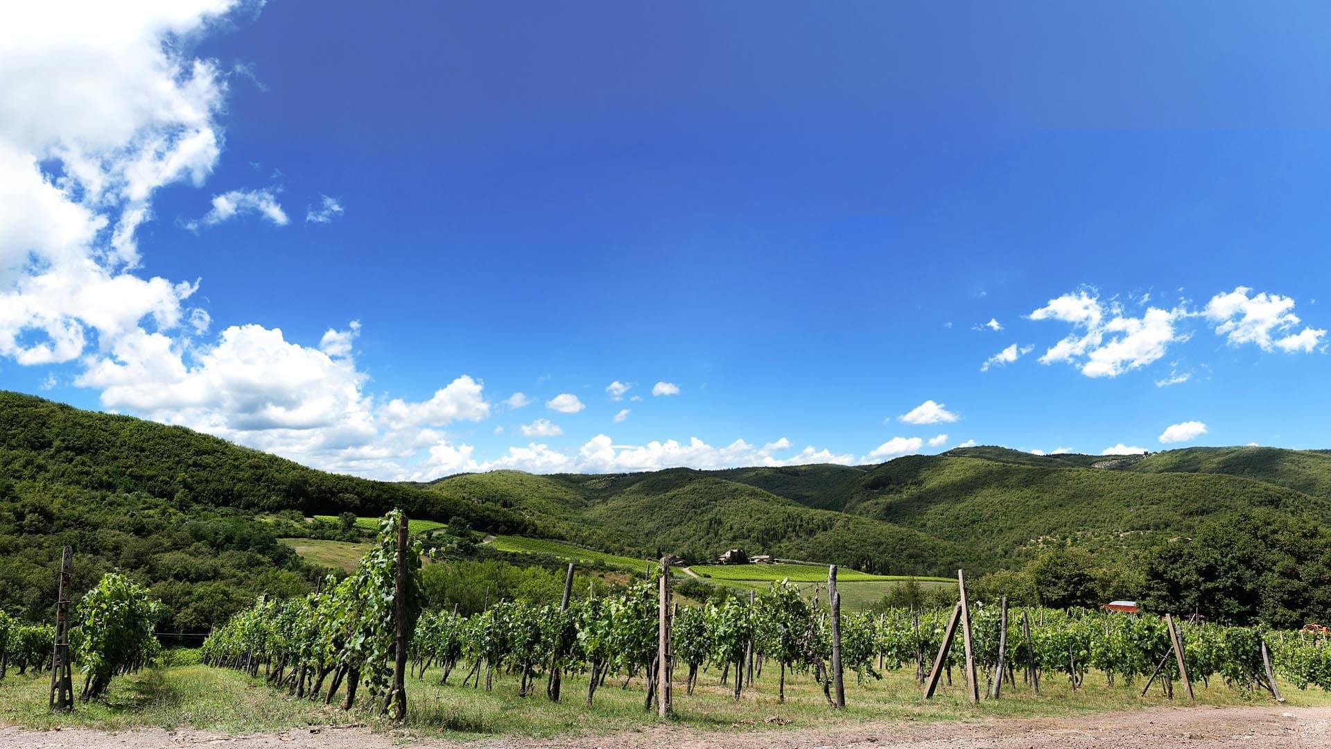 L'Erta di Radda gallery image 2