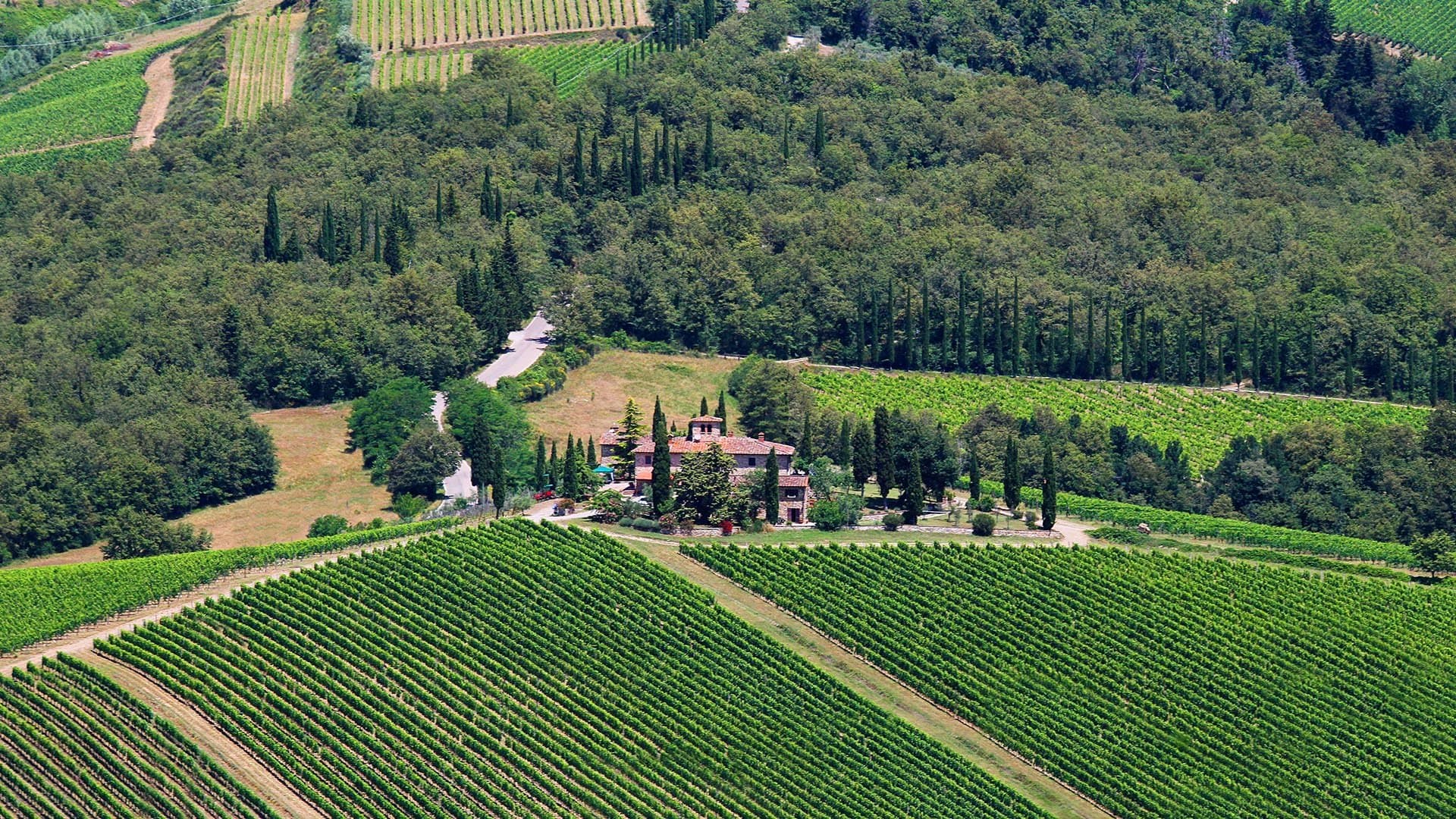 L'Erta di Radda header