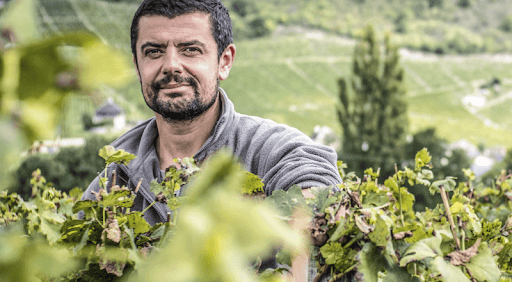 Domaine Adrien Berlioz gallery image 1