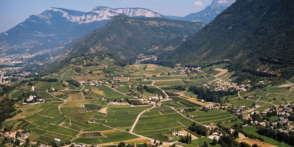 Domaine Adrien Berlioz header