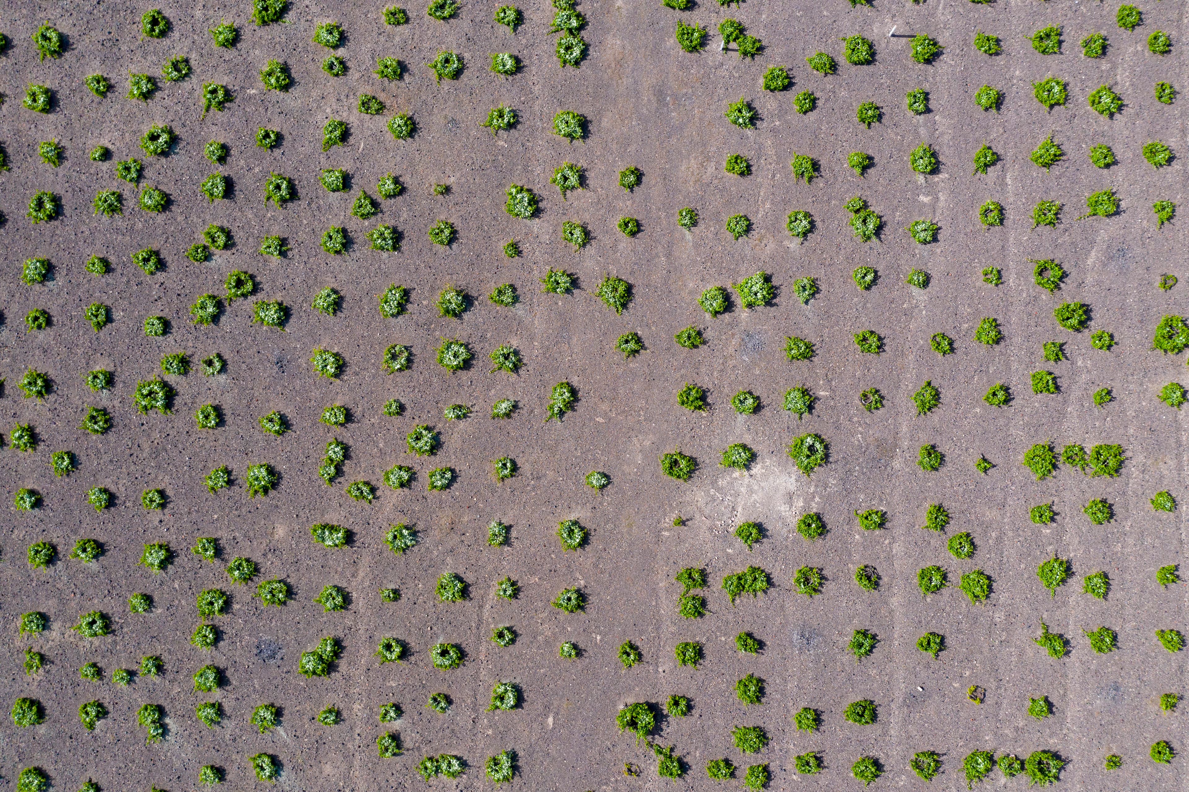 Domaine Sigalas gallery image 5