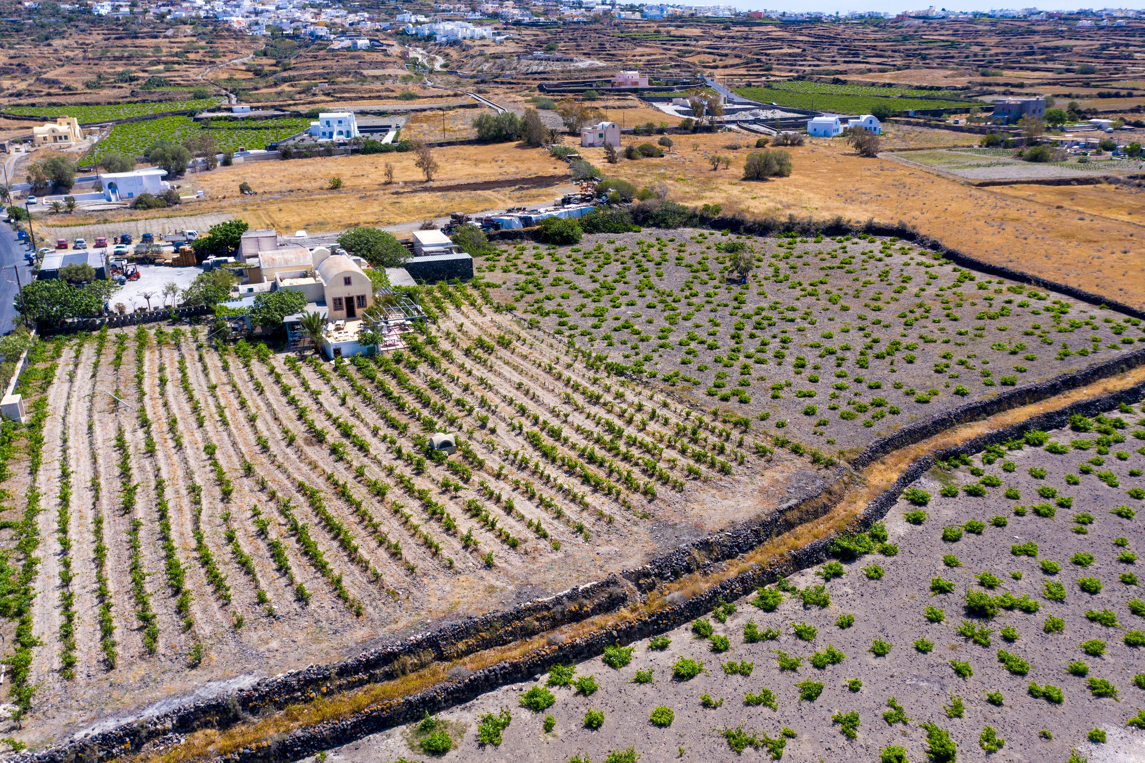 Domaine Sigalas header