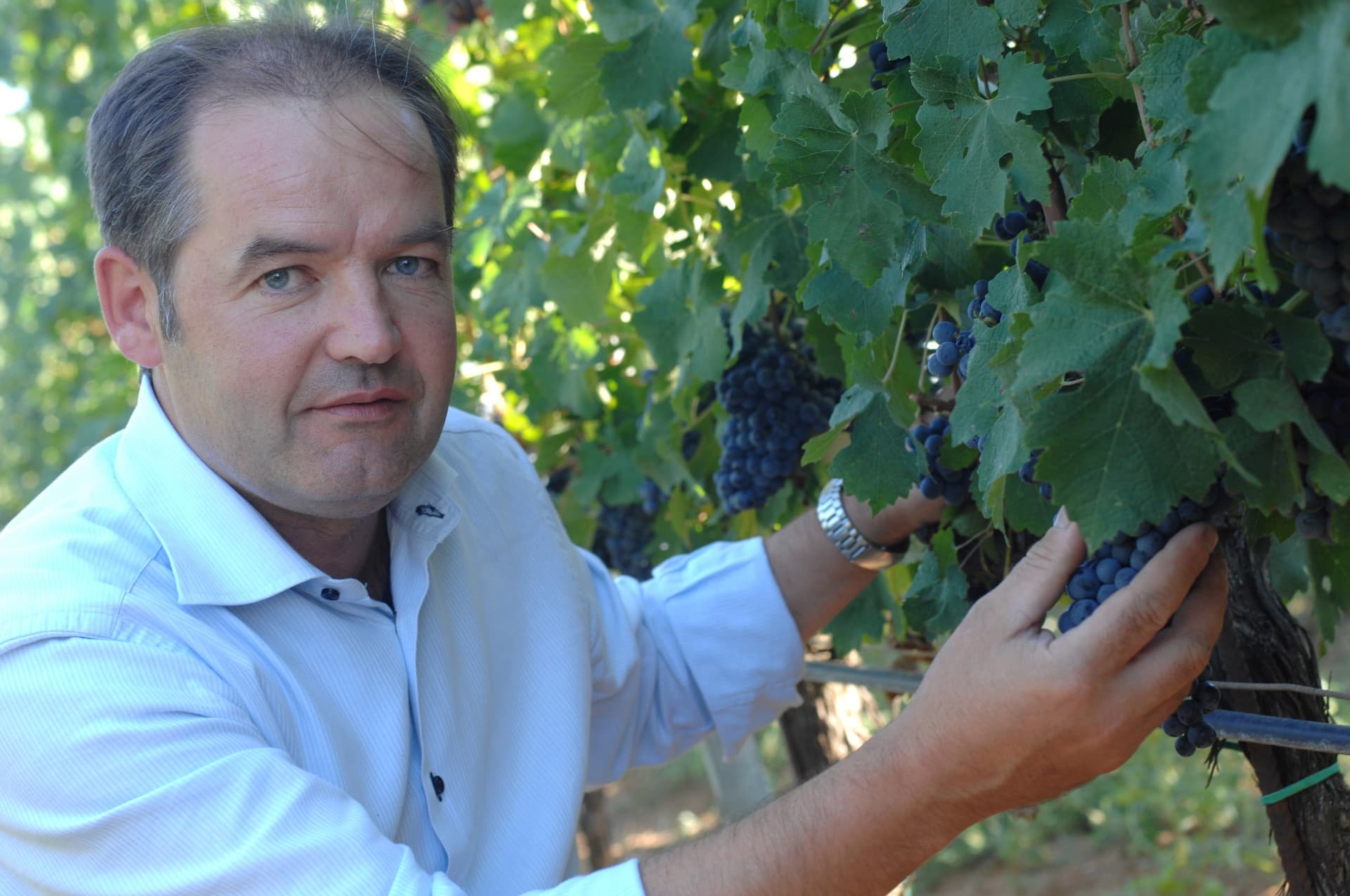 Casale del Giglio gallery image 6