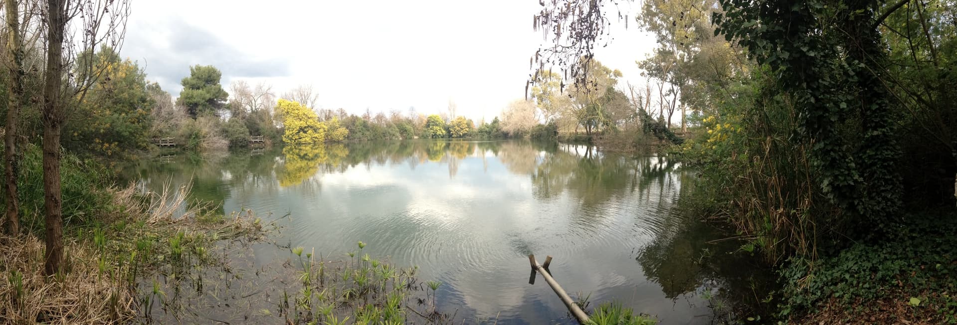 Casale del Giglio gallery image 2