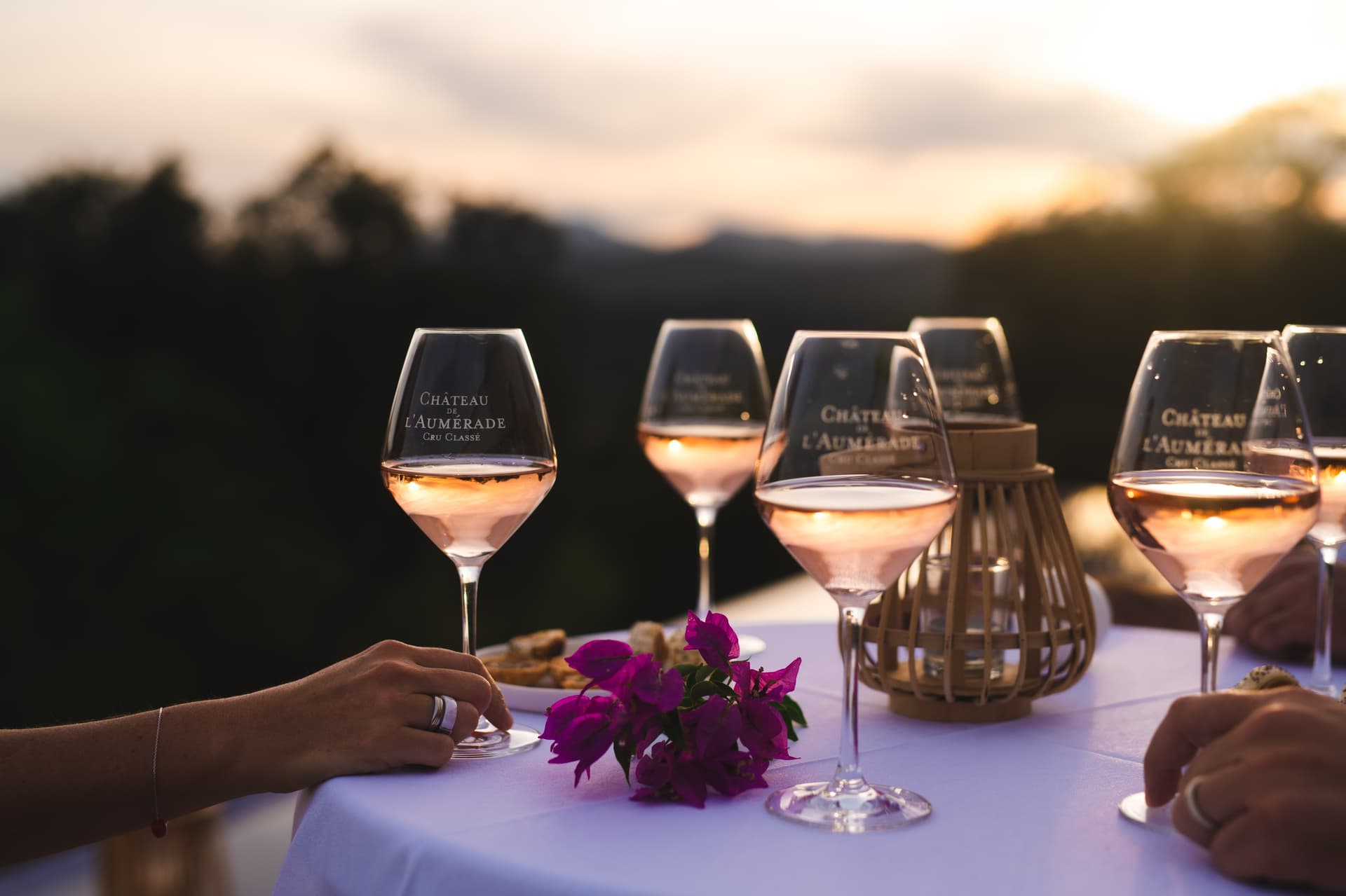 Fabre en Provence gallery image 3