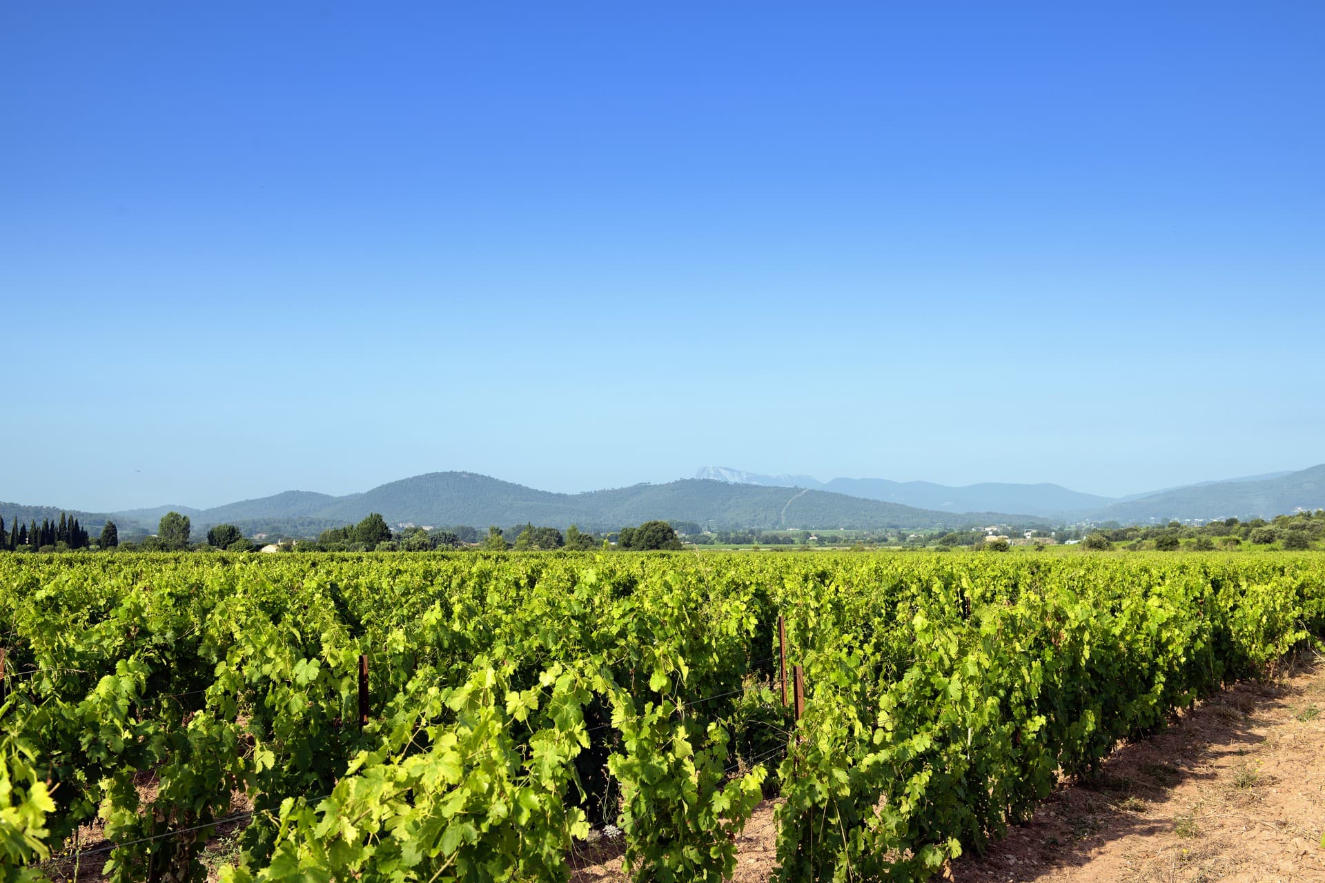 Fabre en Provence header