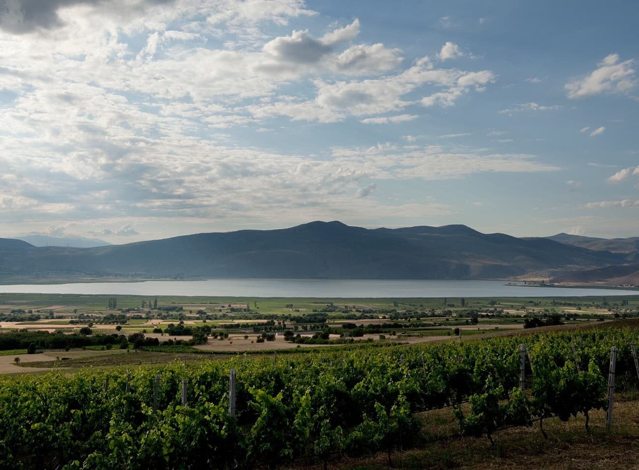 Kir-Yianni gallery image 17