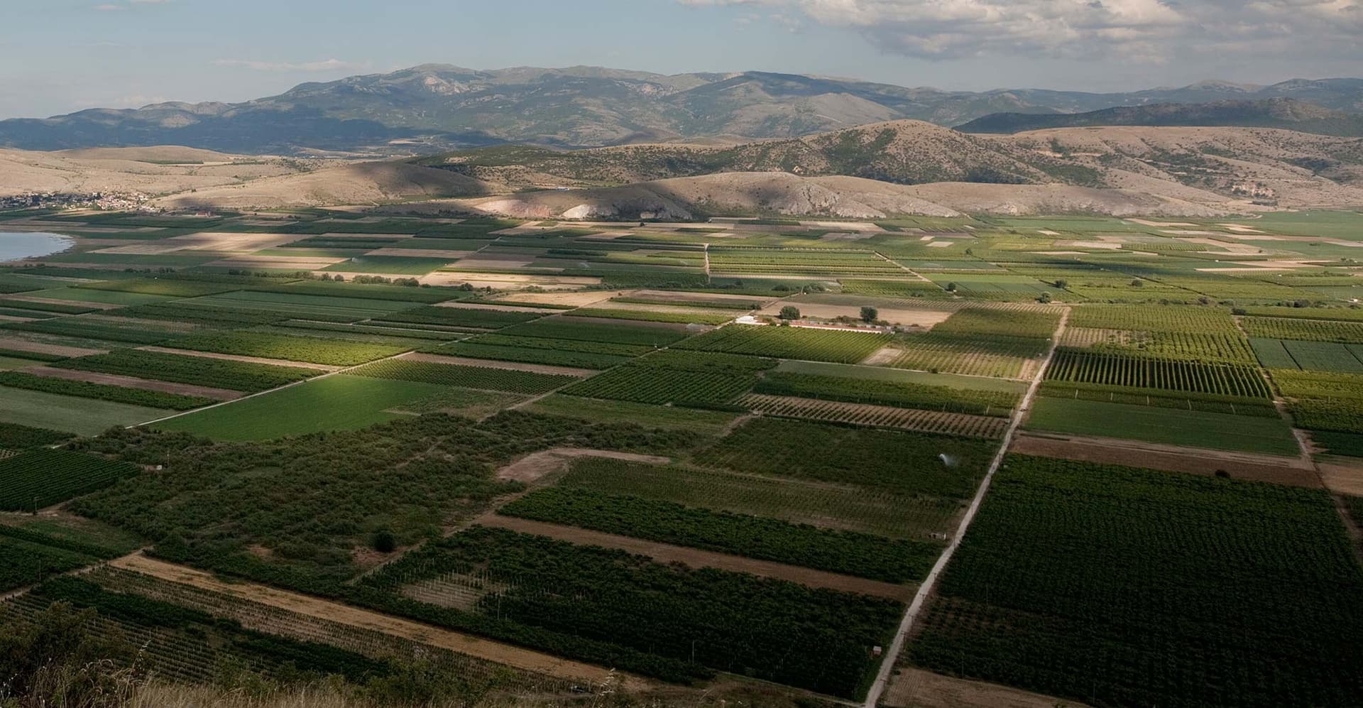 Kir-Yianni gallery image 21