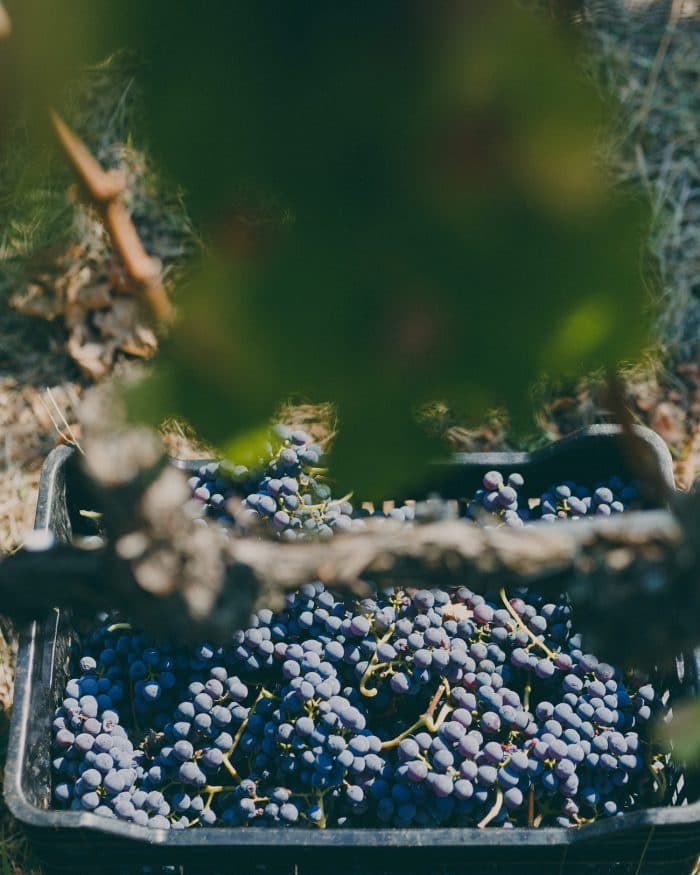 Kir-Yianni gallery image 12