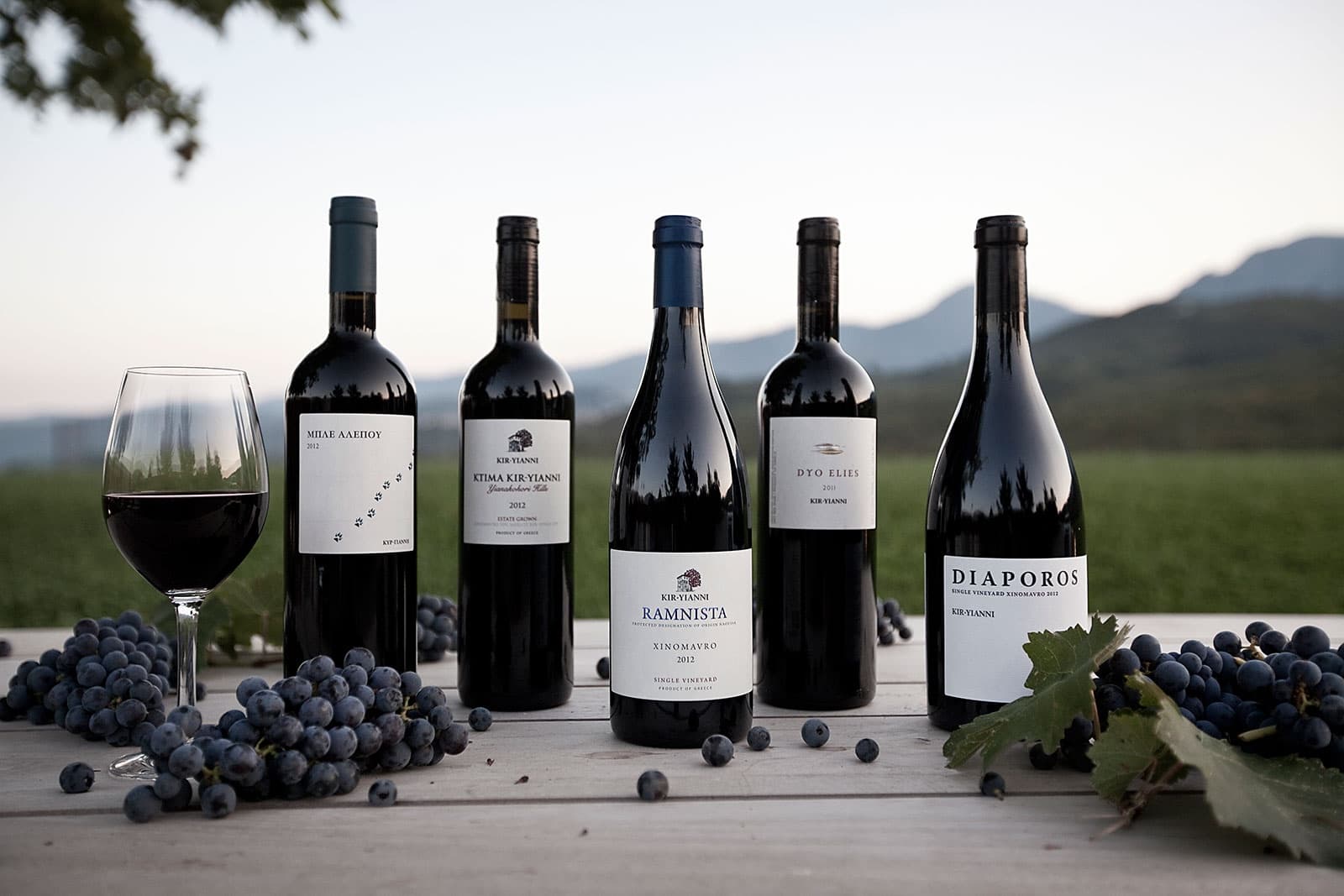 Kir-Yianni gallery image 2