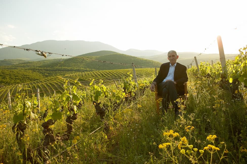 Kir-Yianni gallery image 61