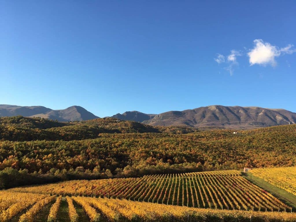 Kir-Yianni gallery image 10