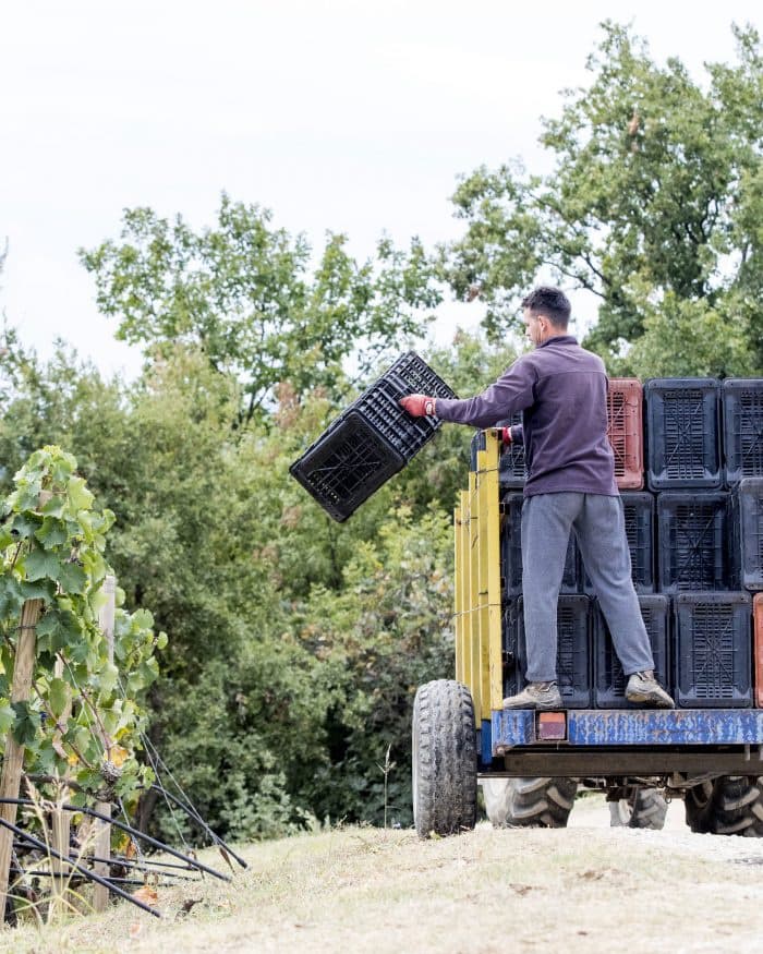 Kir-Yianni gallery image 48